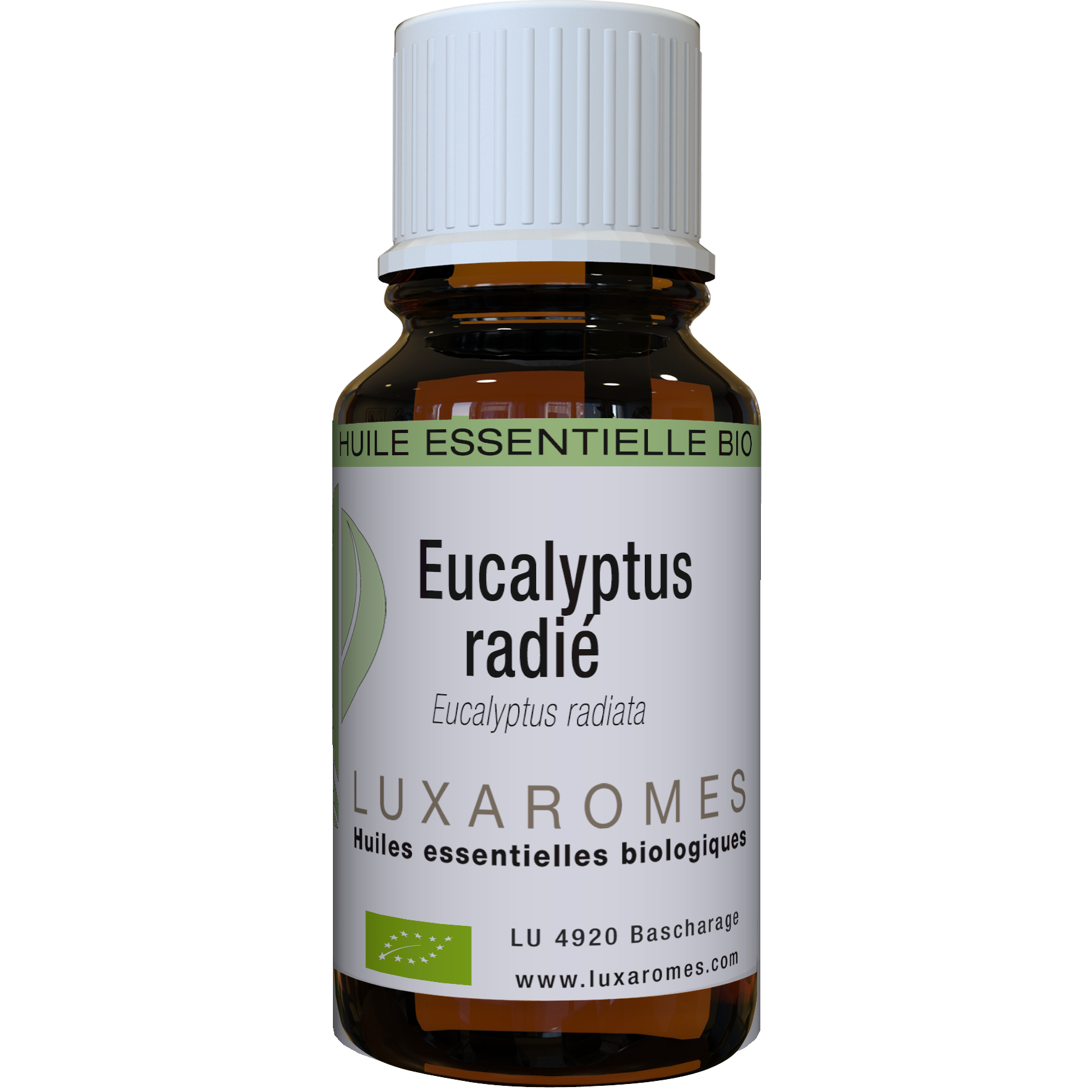 Huile essentielle Eucalyptus radié bio