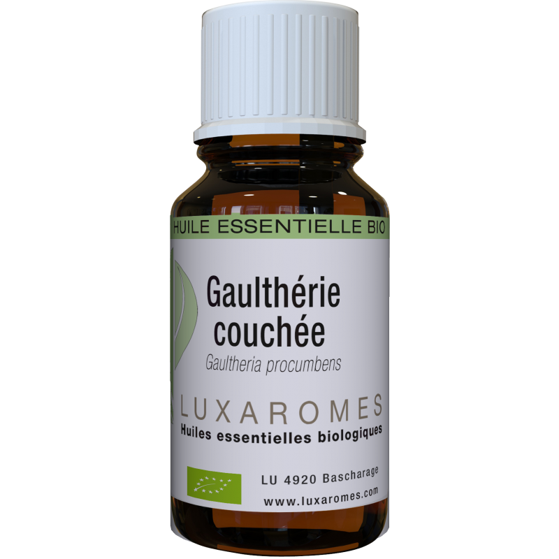 Gaulthérie Couchée Bio - Gaulthéria Procumbens 
