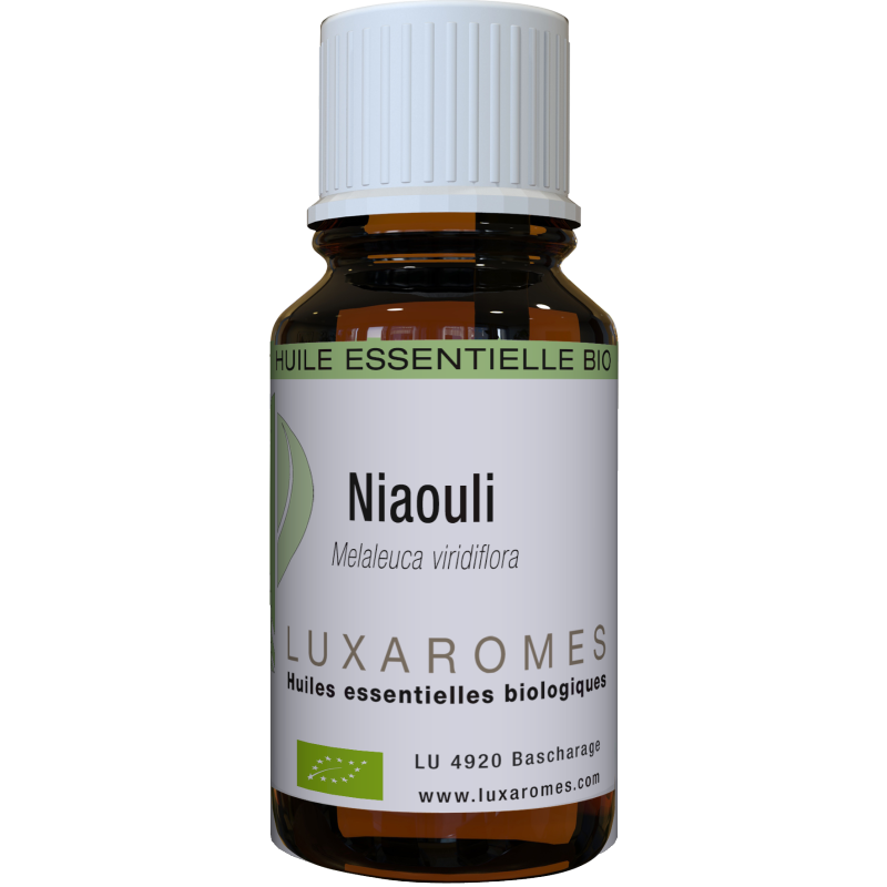 Huile essentielle de Niaouli Bio - 10 ml