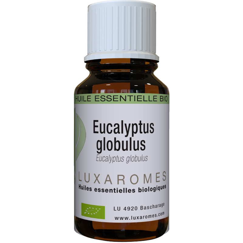 Huile essentielle Eucalyptus globulus bio